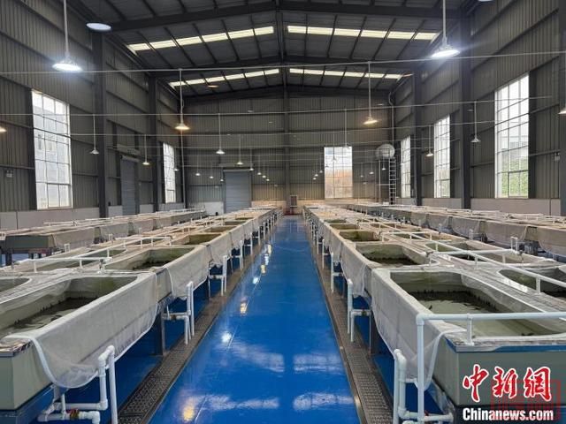 云南楚雄：千年彝药焕新机 “滇中药谷”正崛起-2.jpg