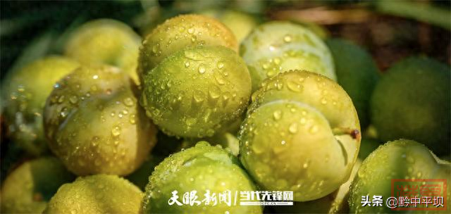 贵州：笑容绽放在希望的田野上-1.jpg
