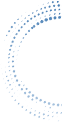 w4.jpg