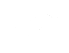 w6.jpg