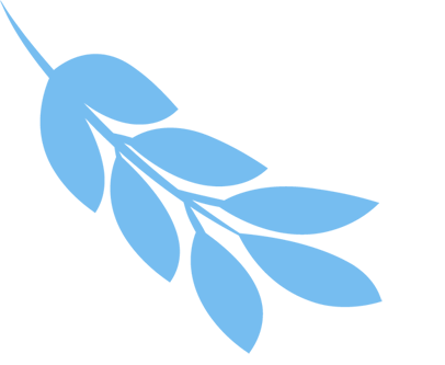 w5.jpg