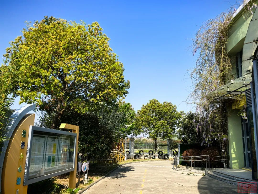 w15.jpg