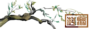 w1.jpg