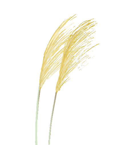 w11.jpg