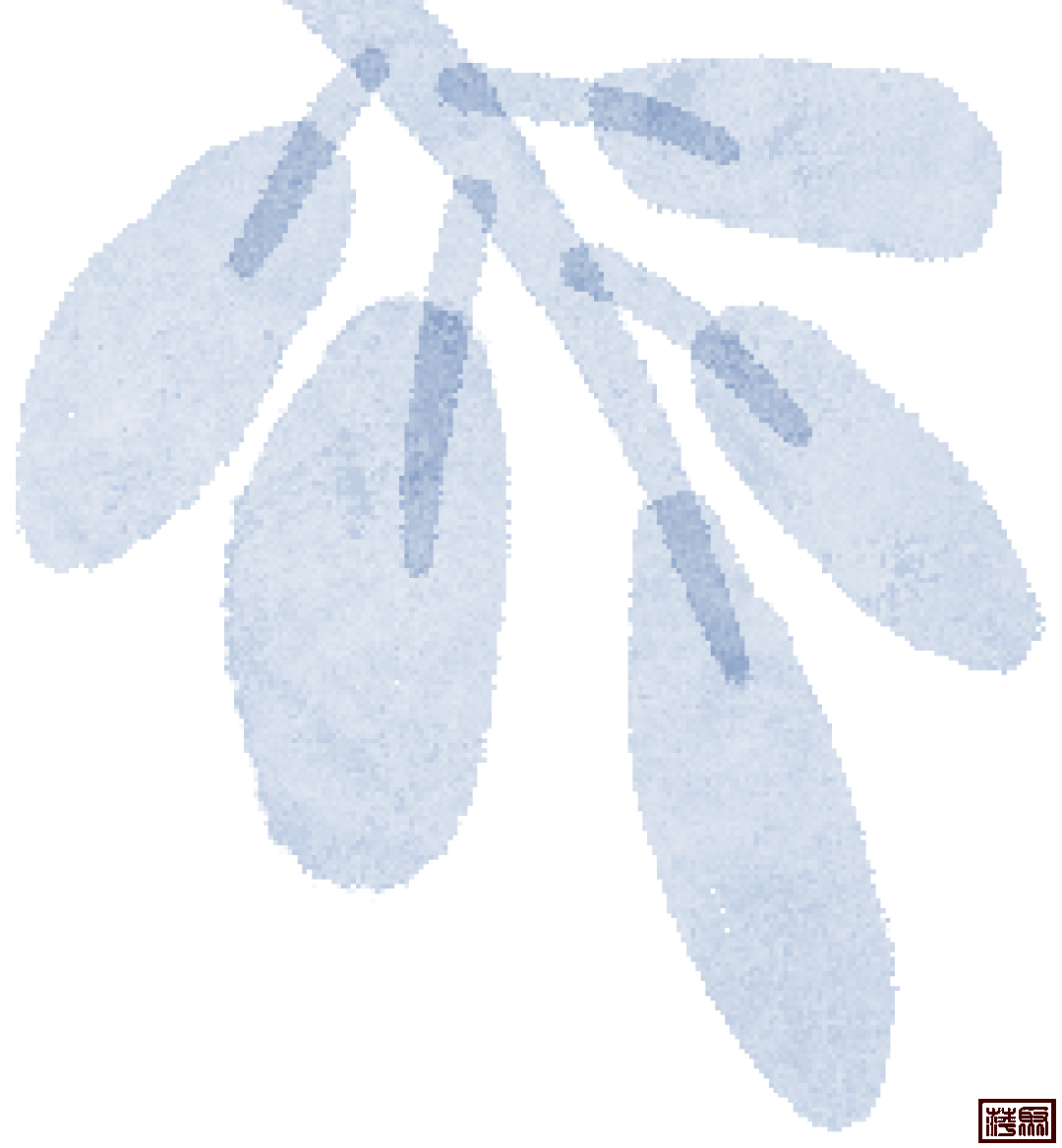 w10.jpg