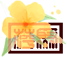 w8.jpg