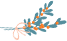 w3.jpg