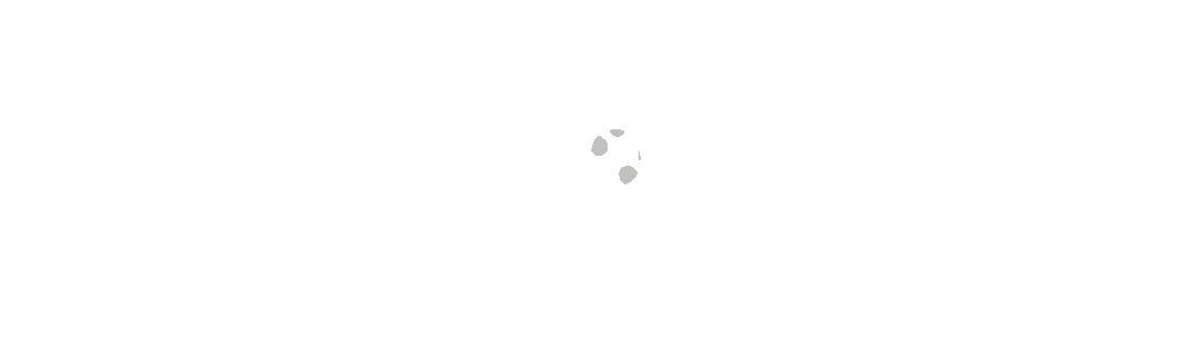 w12.jpg
