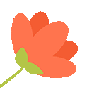 w5.jpg