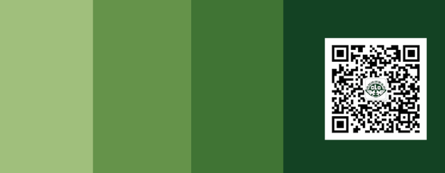 w13.jpg