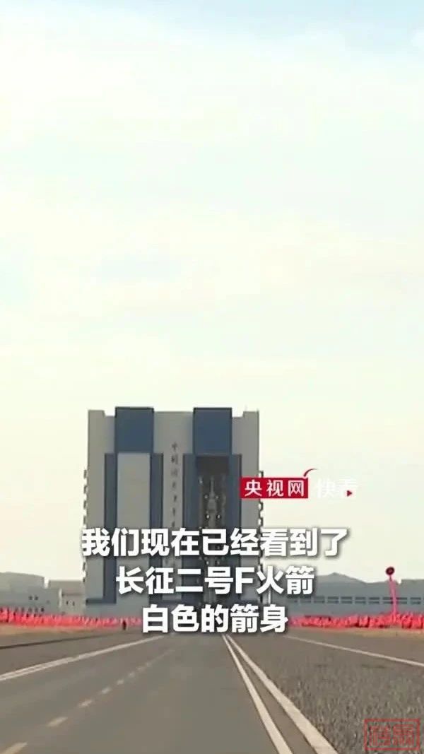 w5.jpg