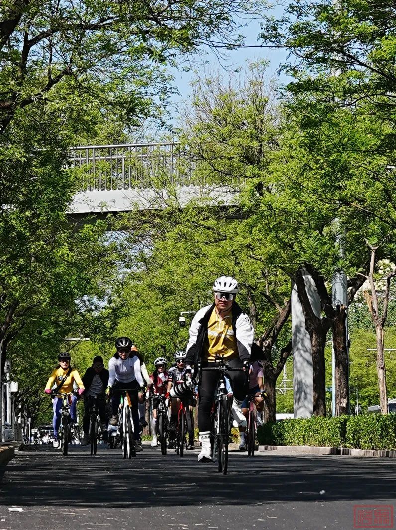 w12.jpg