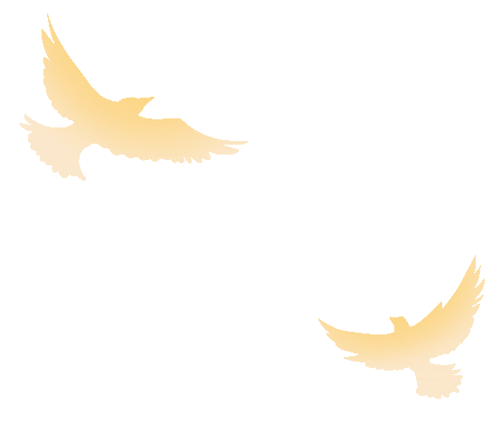 w8.jpg