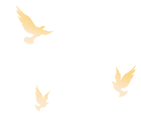 w9.jpg