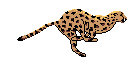 w1.jpg
