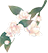 w4.jpg