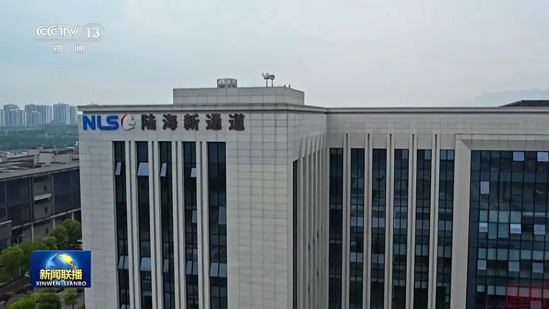 w5.jpg