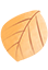 w5.jpg