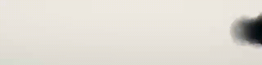 w1.jpg