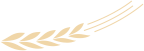w2.jpg