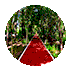 w11.jpg