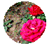 w16.jpg