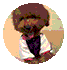 w15.jpg