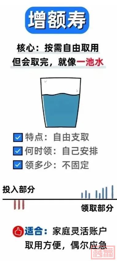 w5.jpg