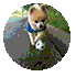 w14.jpg