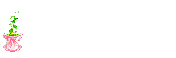 w12.jpg