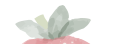 w3.jpg