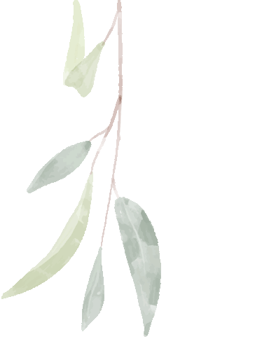 w9.jpg