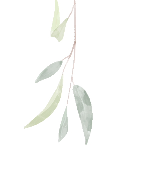 w10.jpg