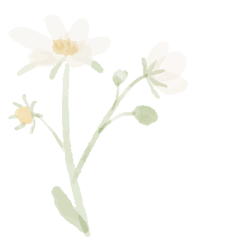 w14.jpg