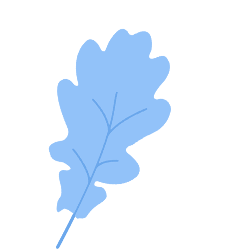 w5.jpg