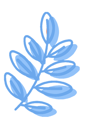 w10.jpg