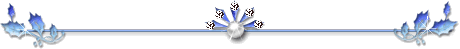 w5.jpg