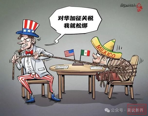 w5.jpg