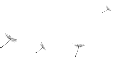 w3.jpg