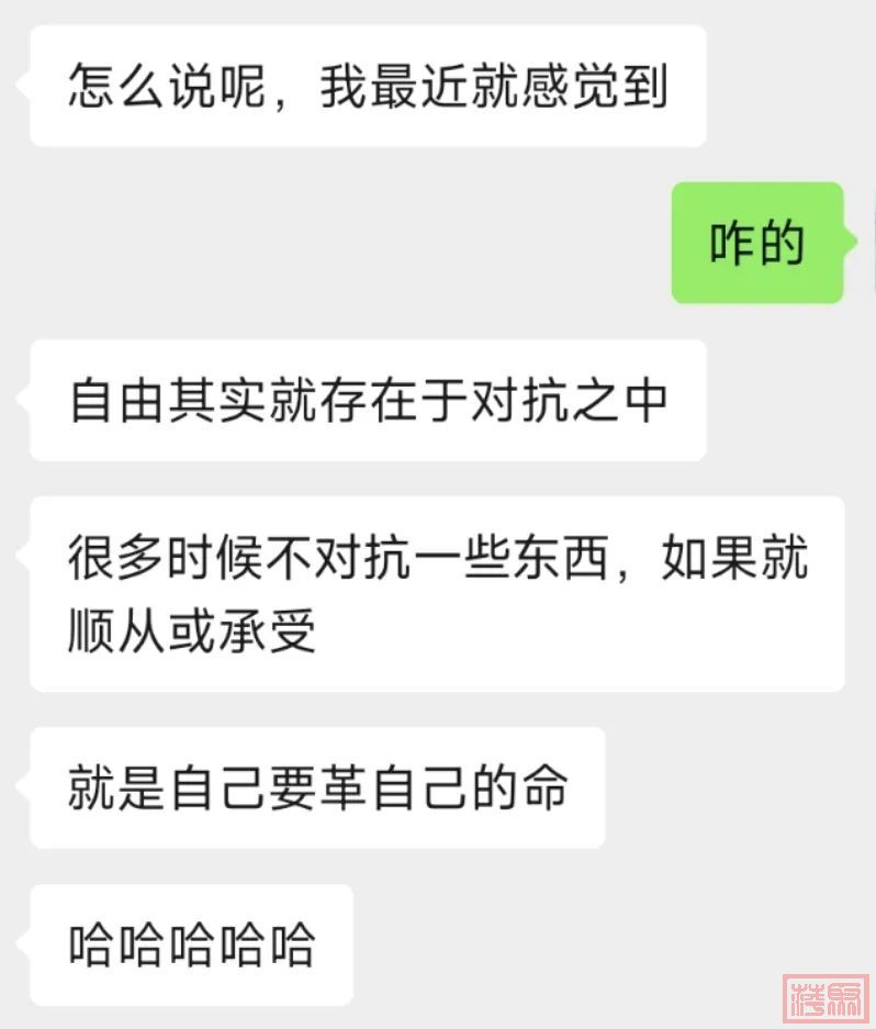 w5.jpg
