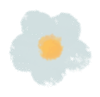 w5.jpg