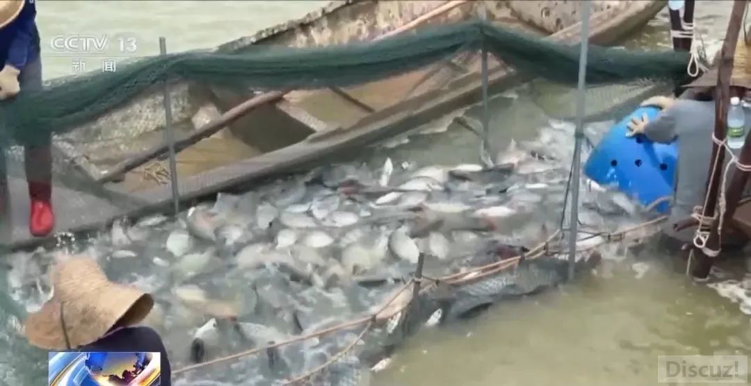 w2.jpg