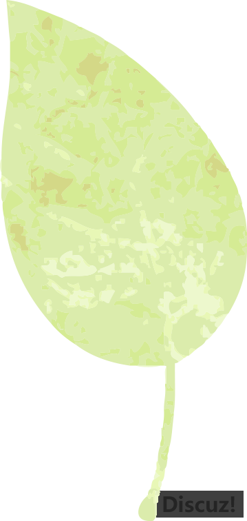 w6.jpg