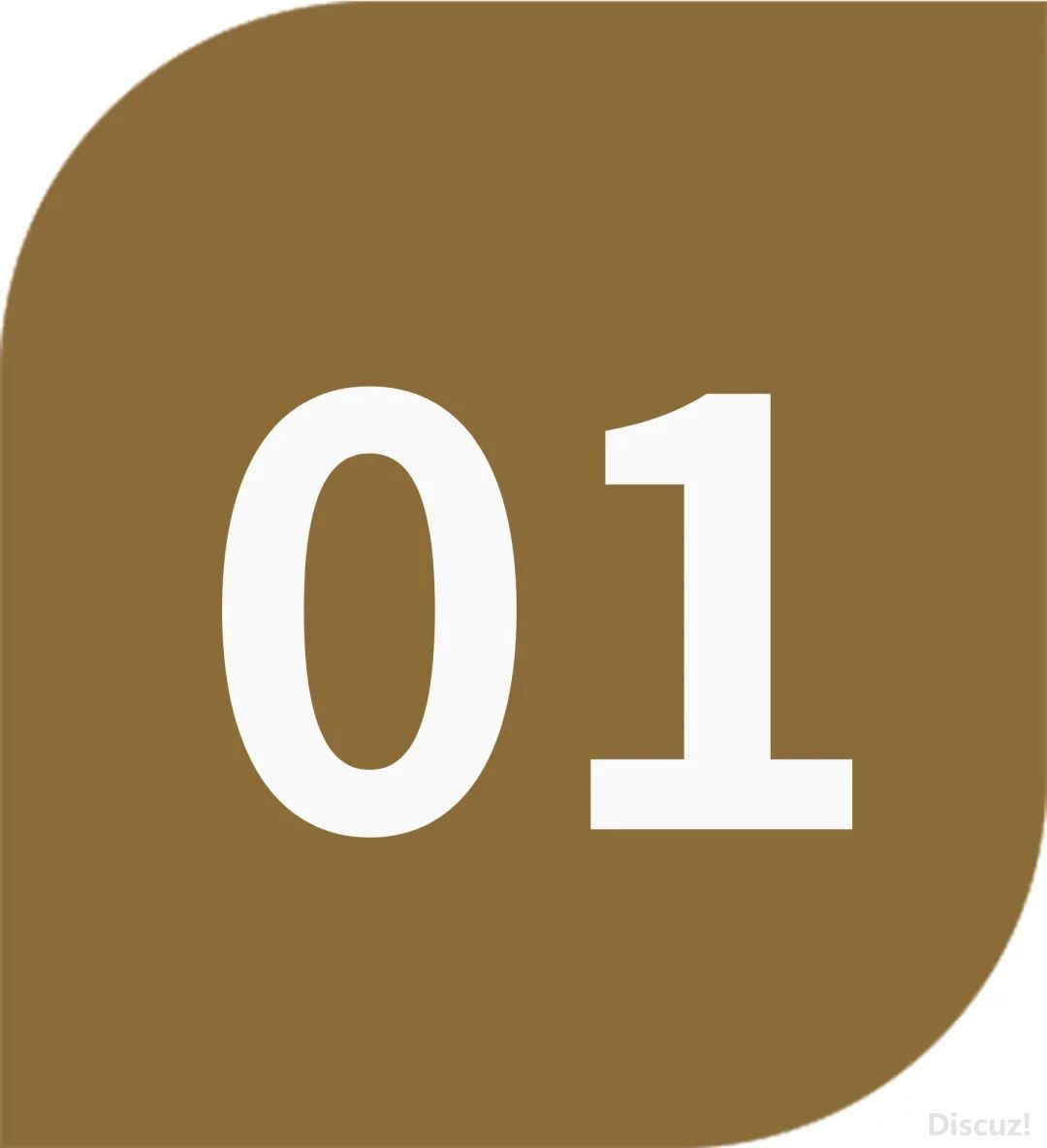 w2.jpg