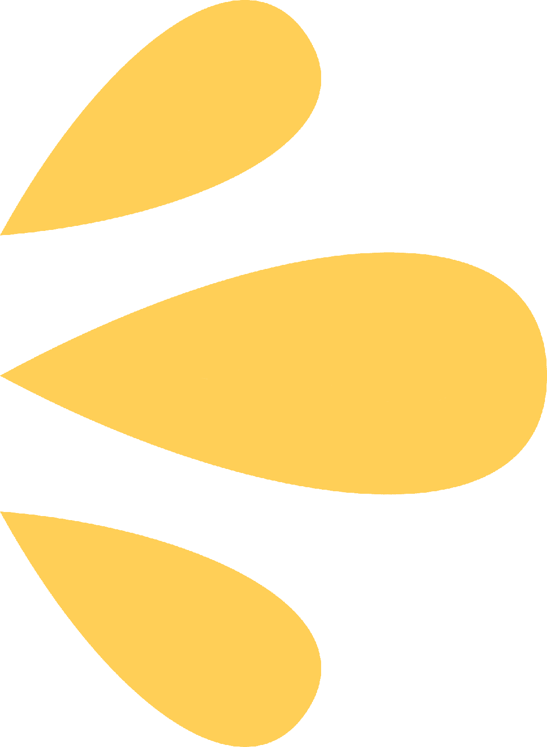 w5.jpg
