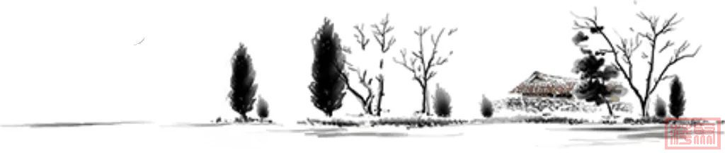 w2.jpg