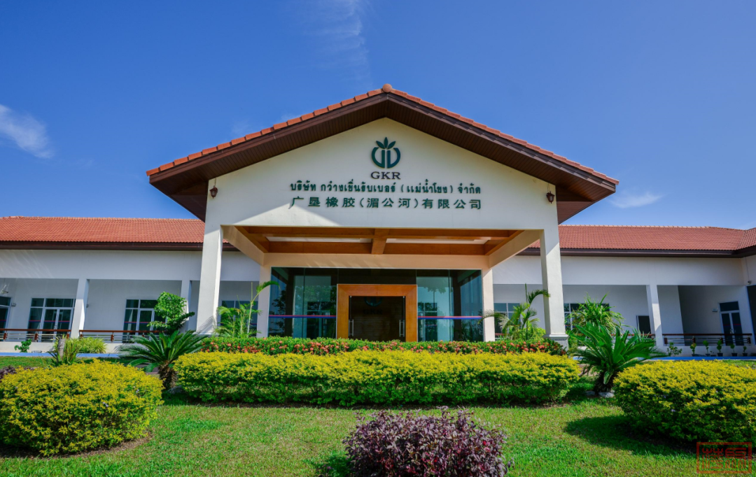 w15.jpg