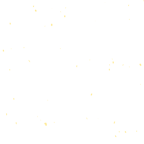 w4.jpg