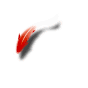 w2.jpg