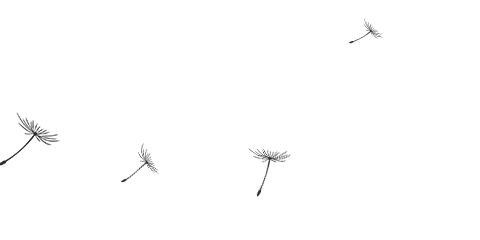w13.jpg